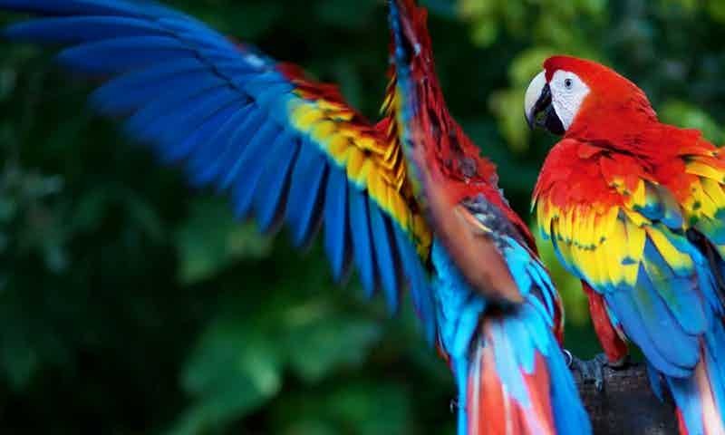 iure-reprehenderit-exercitationem-ad-dolorum-aut